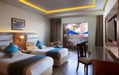 Туры в отель Albatros Aqua Park Resort