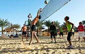 Туры в отель Beach Albatros Resort