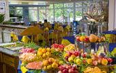 Туры в отель Hotel Oasis