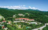 Туры в отель Odisseya Wellness Resort