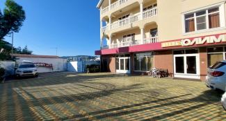 Олимп Виноградная 3*