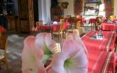 Туры в отель Pirina Club