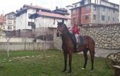Туры в отель Pirina Club