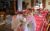 Туры в отель Pirina Club