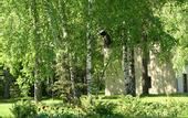 Туры в отель Подмосковная Слобода