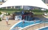 Туры в отель Pollo Resort