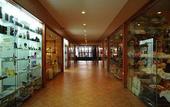 Туры в отель Beatriz Playa & Spa