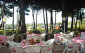 Туры в отель Beau Rivage Pineta