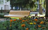 Туры в отель Приморский пансионат (Дивноморское)