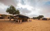 Туры в отель 1000 Nights Camp