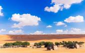 Туры в отель 1000 Nights Camp