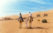 Туры в отель 1000 Nights Camp
