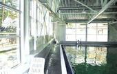 Туры в отель Repino Cronwell Park Hotel