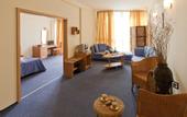 Туры в отель Rodopi Hotel