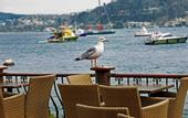 Туры в отель Bebek