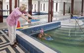 Туры в отель Сестрорецкий курорт