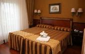 Туры в отель Hotel Begona Park