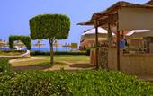 Туры в отель Beirut Hotel Hurghada