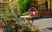 Туры в отель Trakia Garden