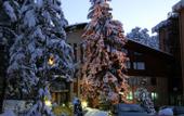 Туры в отель Flora Hotel