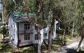 Туры в отель Эвкалиптовая роща