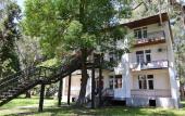 Туры в отель Эвкалиптовая роща