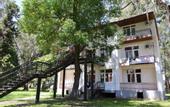Туры в отель Эвкалиптовая роща