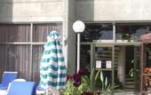 Туры в отель Adonia Beach