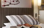 Туры в отель Hotel ibis Styles Antibes