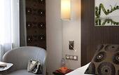 Туры в отель Hotel ibis Styles Antibes