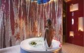 Туры в отель Wellness Hotel Chopok