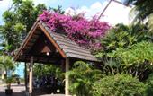 Туры в отель Golden Sand Inn