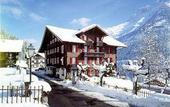 Туры в отель Des Alpes (Люцерн)