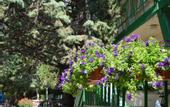 Туры в отель Алые Паруса Пансионат (Сатера)