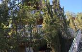 Туры в отель Алые Паруса Пансионат (Сатера)