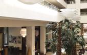 Туры в отель Radisson Blu Hotel, Cairo Heliopolis