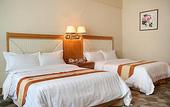 Туры в отель New Pear River International Apartment