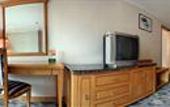 Туры в отель New Pear River International Apartment