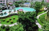 Туры в отель New Pear River International Apartment