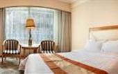 Туры в отель New Pear River International Apartment