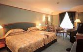 Туры в отель Grand Bluewave Hotel Shah Alam