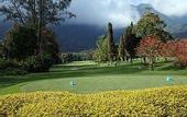 Туры в отель Bali Handara Kosaido Country Club