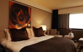 Туры в отель Babylon Hotel The Hague