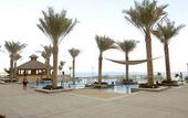 Туры в отель Royal Club Palm Jumeirah