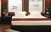Туры в отель Park Plaza Mandarin Eindhoven