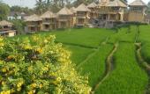 Туры в отель Biyukukung Suites & Spa