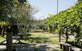 Туры в отель D'Omah Hotel Bali