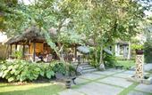 Туры в отель D'Omah Hotel Bali