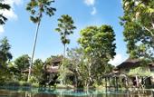 Туры в отель D'Omah Hotel Bali