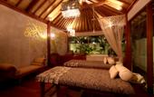 Туры в отель Disini Luxury Spa Villas